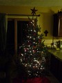 Our Tree 2